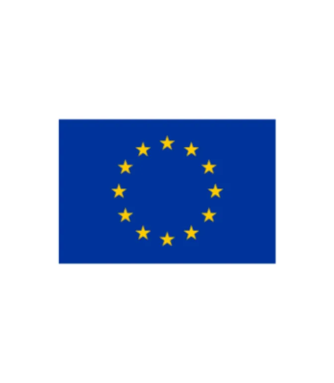 EU Flag Card