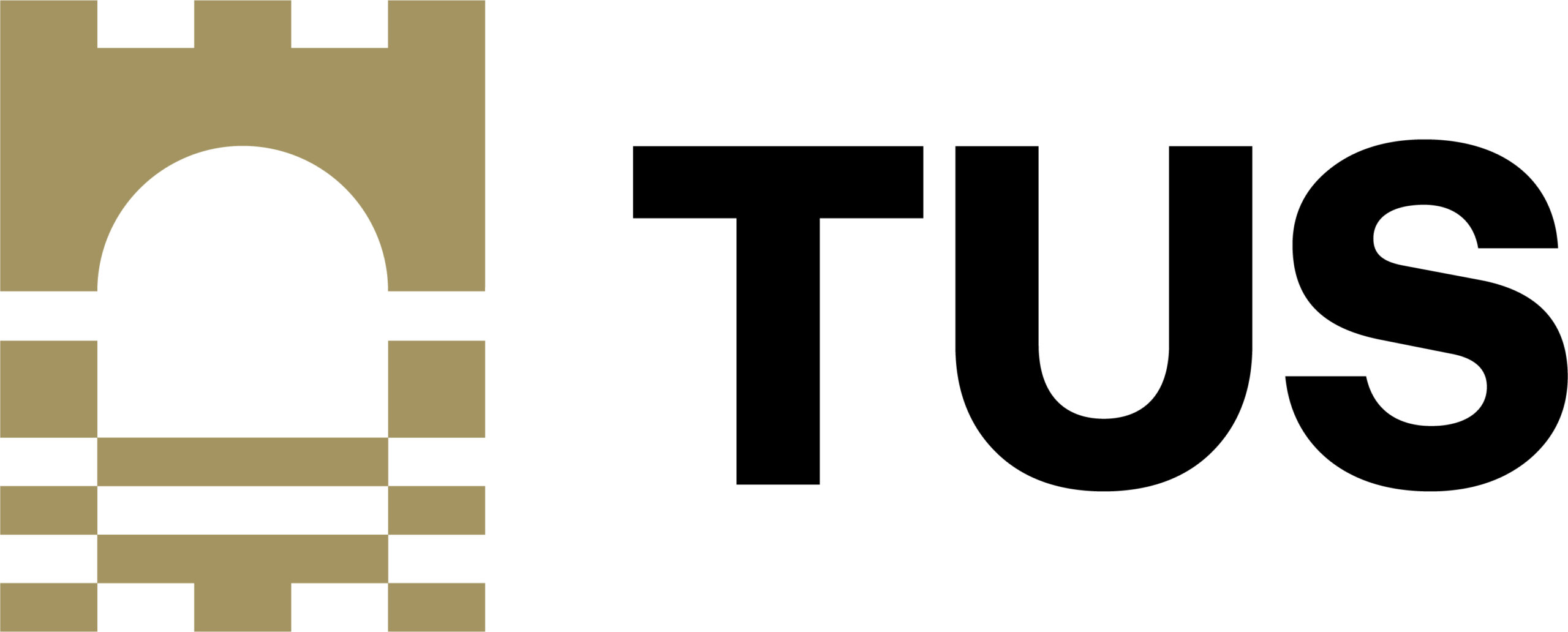 Technological University of the Shannon