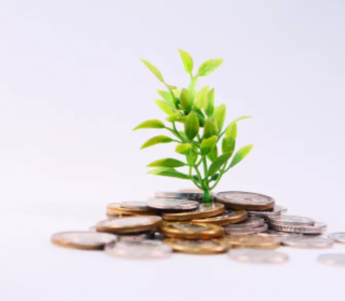 Untitled design (11)