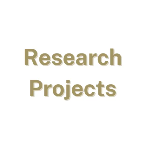 Research Projects