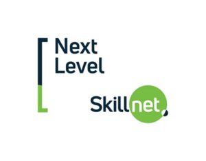 Skillnet - next level